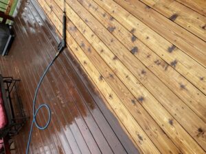 Deck Cleaninig Tips