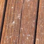 Deck_5