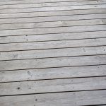 IMG_20250901_132935677_HDR