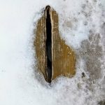 Messenger_creation_9696FCC5-D285-48D5-9A6E-B1F48EC7C790