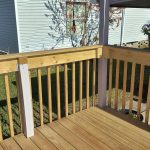 2026-03-09-Back-Deck-4